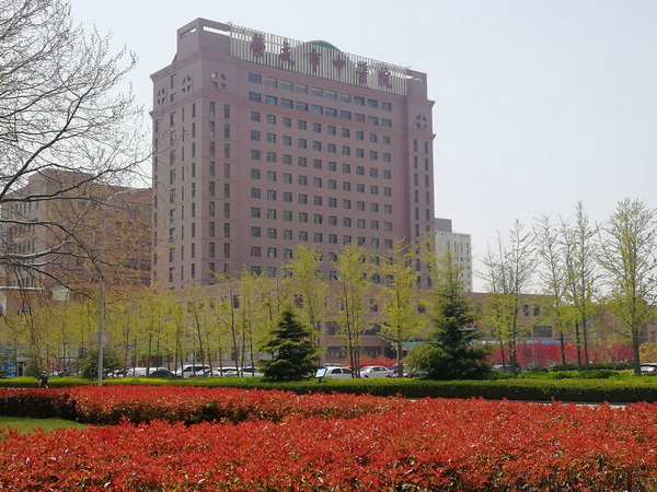 3、春天中医院_调整大小.jpg